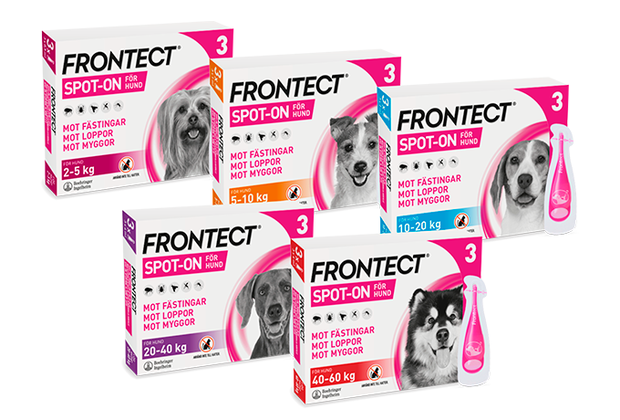 Frontect