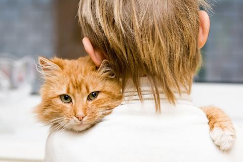 Vaccination = omtanke om dina egna och andras katter